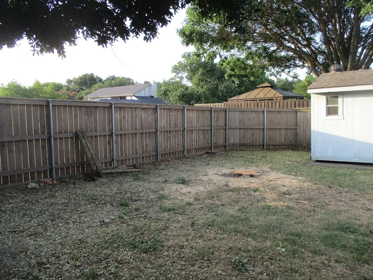 Cleared yard after professional tree removal in Vernon
