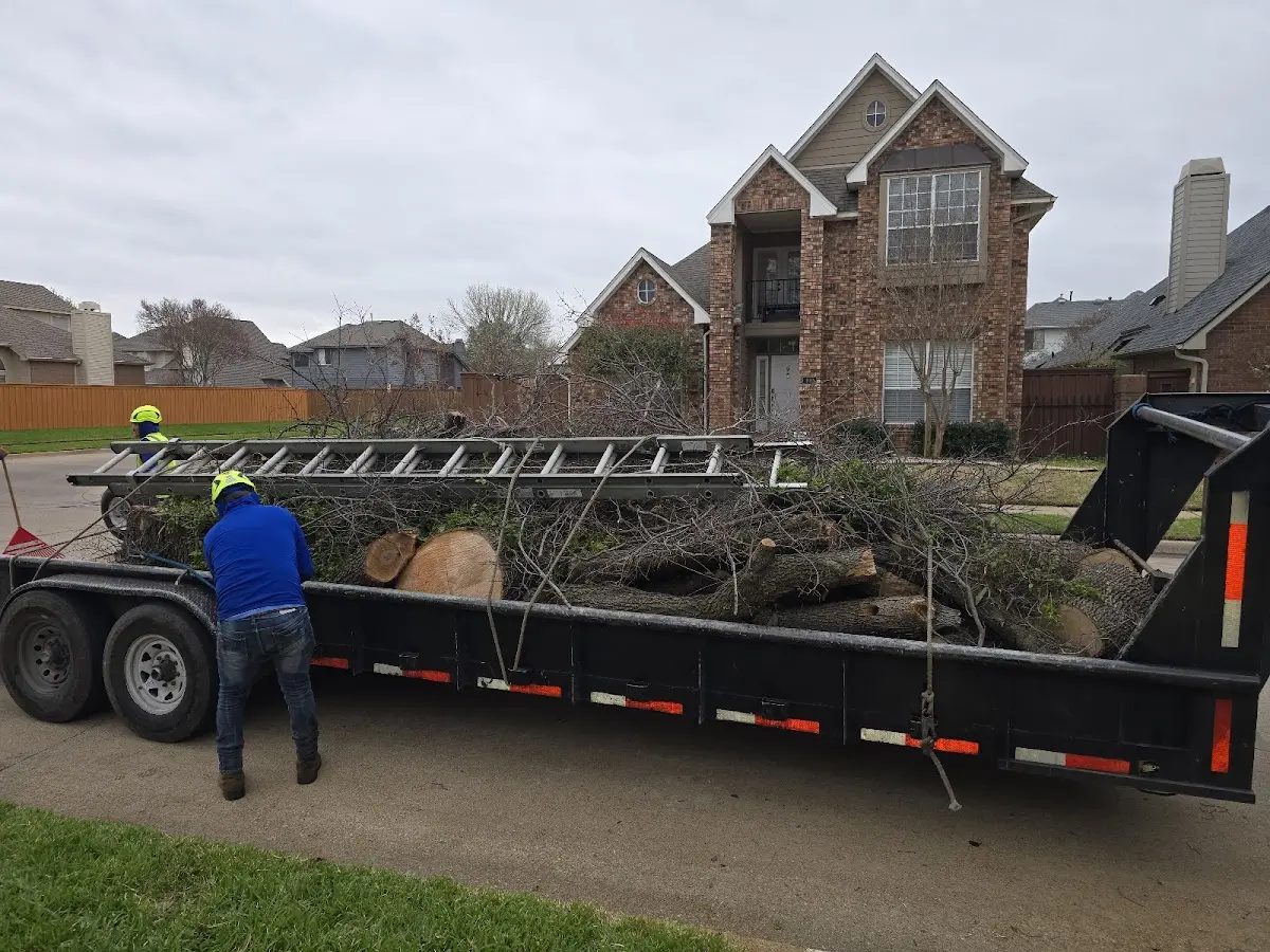 Expert Tree Fertilization with proper safety equipment in Vernon